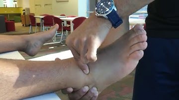 How to put the Subtalar Joint in Neutral