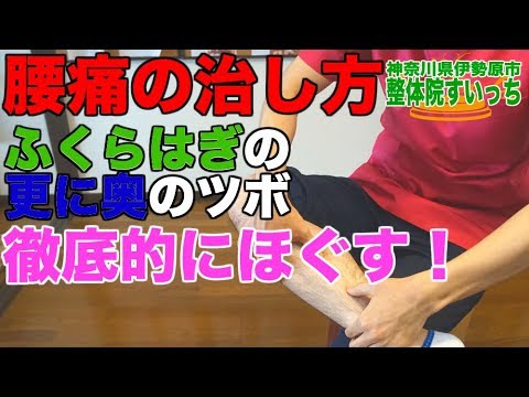 腰痛の治し方 ふくらはぎの奥にある筋肉のマッサージ 神奈川県伊勢原市の整体院すいっち Youtube