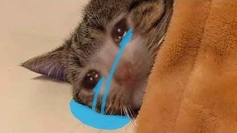 MINI PROJECT 2 PRESENTATION SADAM