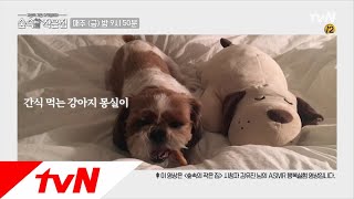 Little House in the Forest 시청자 응모 2차 ASMR 행복실험 영상 공개 ♥ #1일1소확행 180601 EP.9