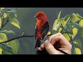Scarlet Tanager | Acrylic Painting Process - Colour Mixing, Background, Bird Details.
