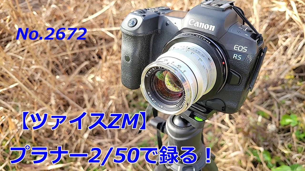 firenze外周河川 Zeiss ZM] Recording dead grass in the Edogawa River! (Video No