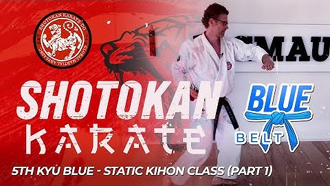 Shotokan Karate - 5th Kyu - Blue Belt - Static Kihon Class (Part 1)