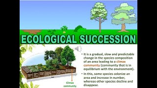 Ecosystem Lecture 2: Ecological Succession, Nutrient Cycling, Ecosystem Services