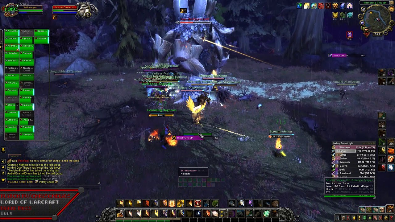 World Of Warcraft - World Boss Ivus the Forest Lord Hpal PoV [ChrisChelios.TV]