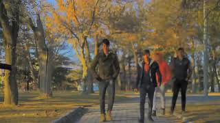 Nigde Sarkisi Resimi