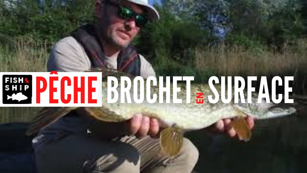 Pêche de surface : la 