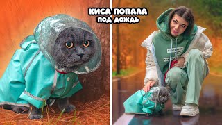 ОДИН ДЕНЬ с КОШЕЧКОЙ БАТТЕРС | КИСА в ЛЕСУ ПОПАЛА под ДОЖДЬ