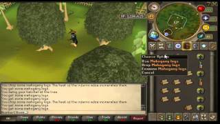 Mousekeys Guide (drop 6 items 1 tick)