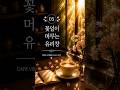 꽃잎이 머무는 유리창 | 봄날의 기억이 조용히 스며드는 감성 힐링 음악