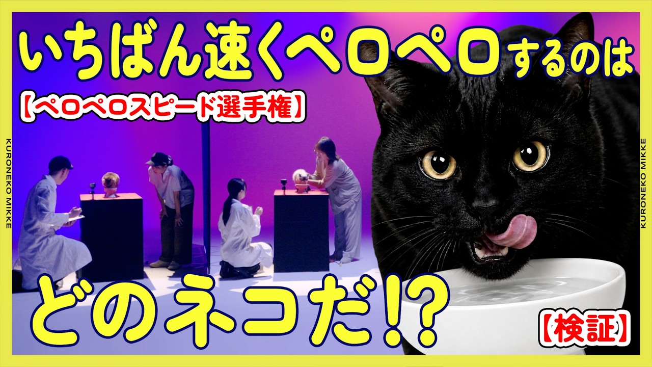 【検証】いちばん速くペロペロするのはどのネコだ！？【ペロペロスピード選手権】