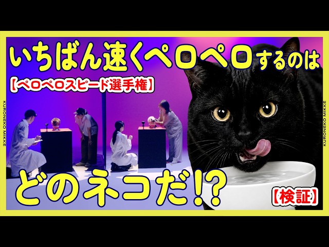 Experiment] Which Cat Can Lick the Fastest!? [Licking Speed