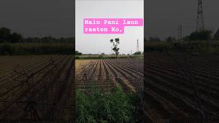 Tu High Level Ki Chori Se Dj Mohit Dhanduka Se