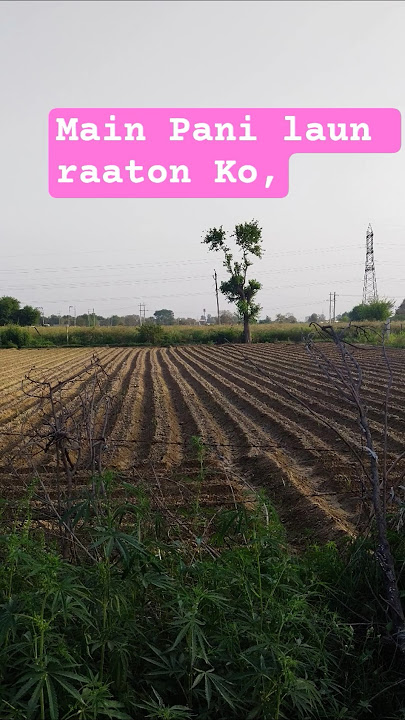 Tu High Level Ki Chori Se Dj Mohit Dhanduka Se