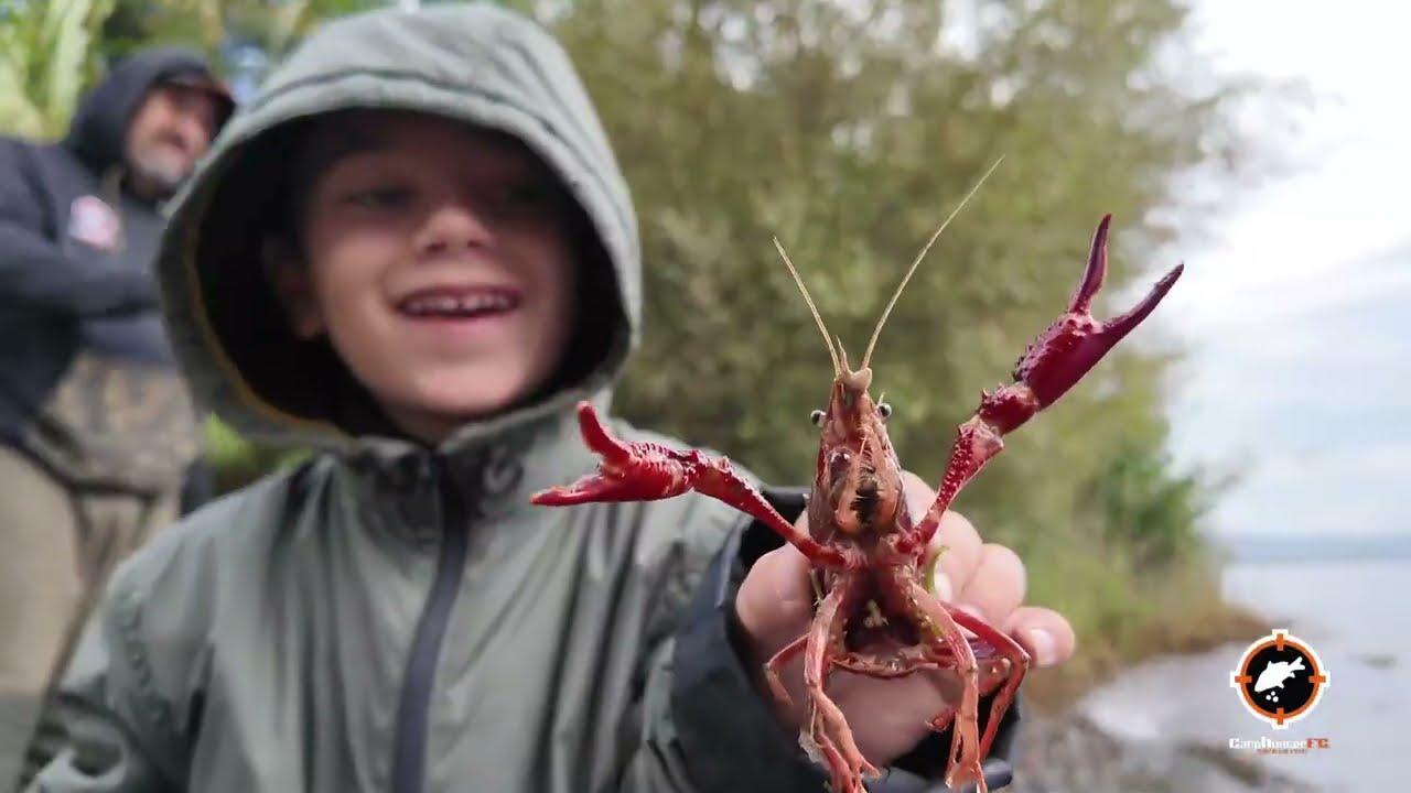 Carpfishing targato @CarpHunterFC Lago di Bolsena Ottobre 2025