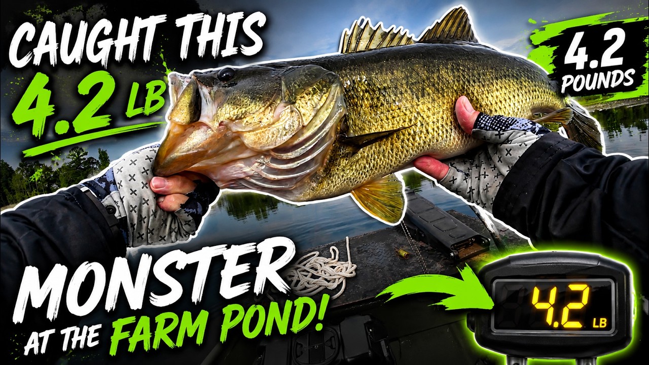 We Went Looking For Those Big Bass!