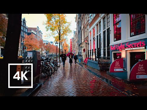 Видео: Активы в дождливый день в Амстердаме: 5 любимых занятий