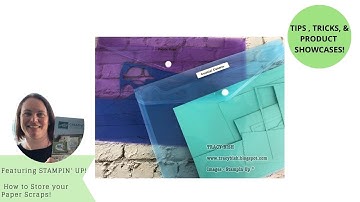 Tips and Tricks - How to Store your Paper Scraps!