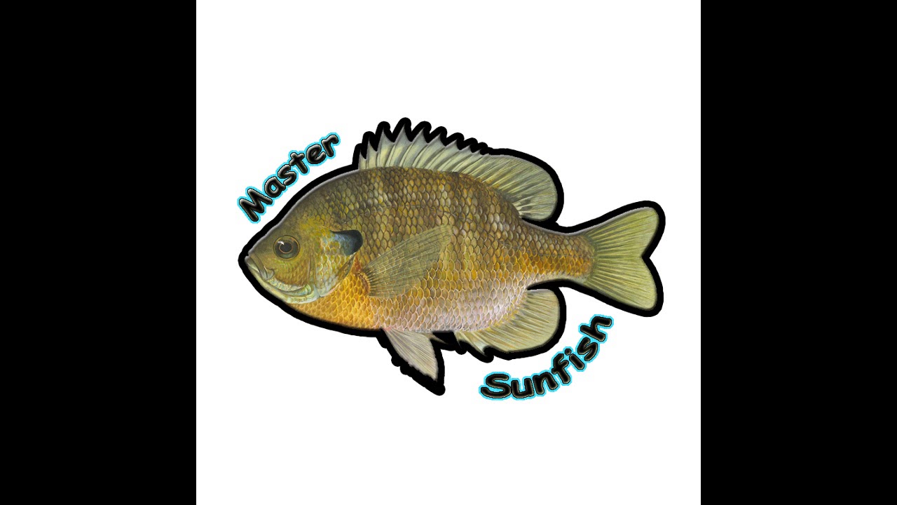 Guarda Master Sunfish - Robotic Testing Zone su YouTube Guarda Master Sunfish - Robotic Testing Zone su YouTube