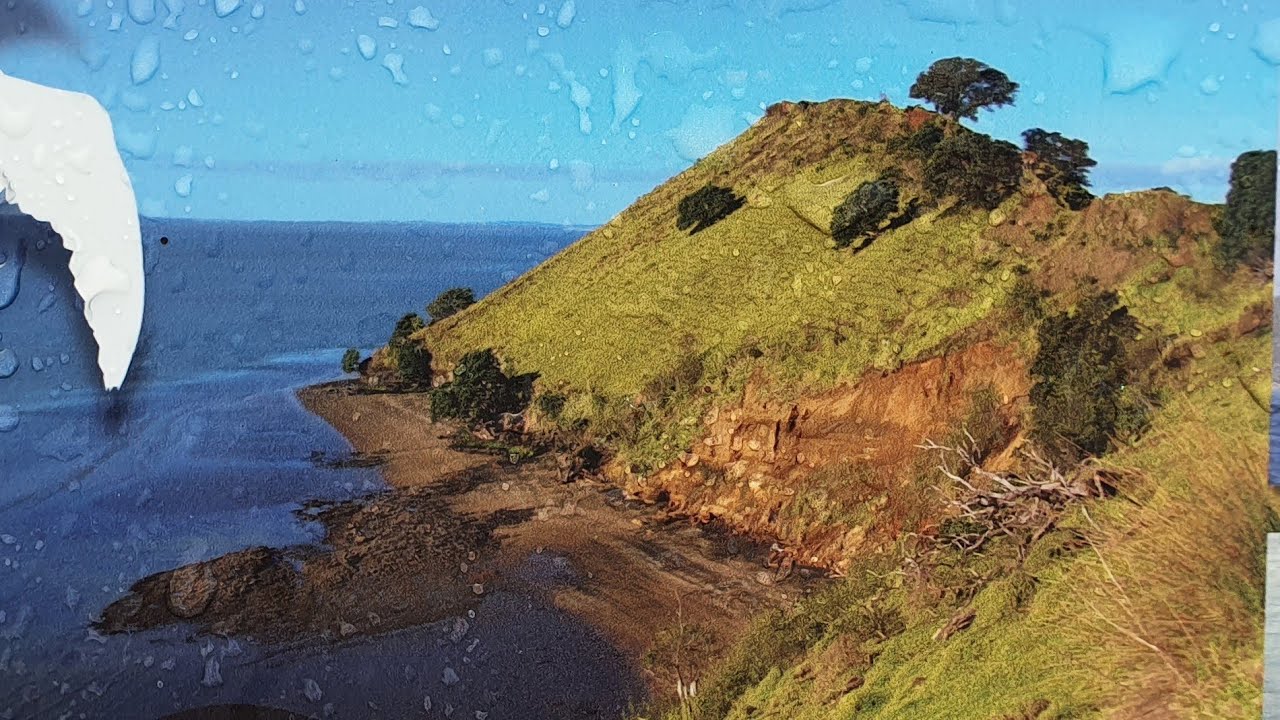 life In Awhitu BZRK ADVENTURE'S