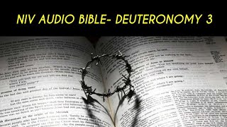 DEUTERONOMY 3 NIV AUDIO BIBLE (with text)