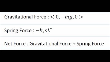 LAB 4: 2D Motion of a Spring