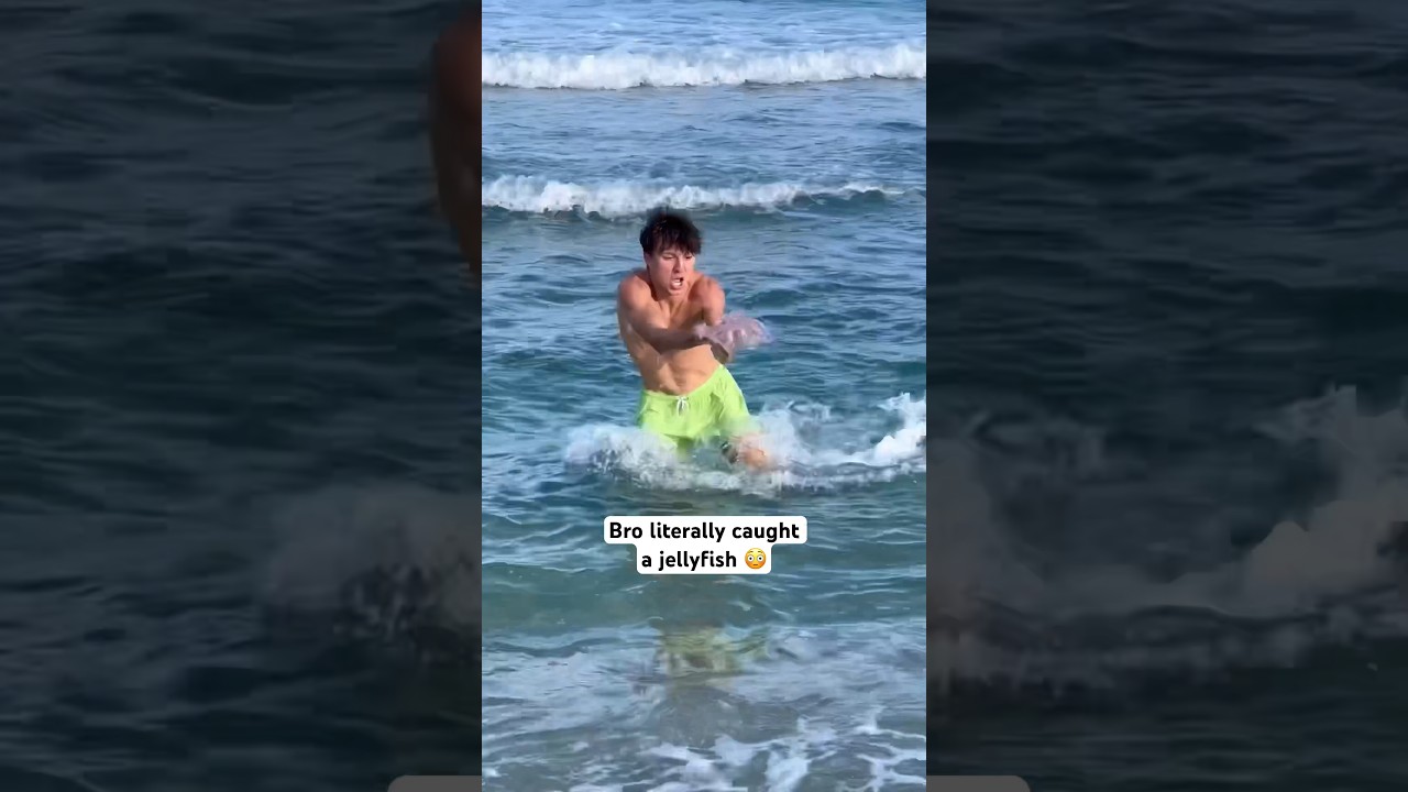 Caught a jelly fish with bare hands 🤯 