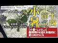 【二十四節気】『小暑・しょうしょ』そんな季節を忘れない思いも込めて