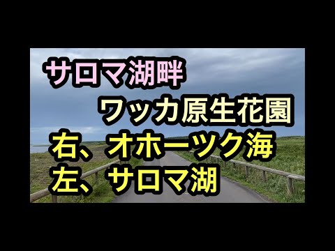 【知床2ワッカ原生花園】オホーツク海が見える日本3大湖のサロマ湖と道の駅サロマ湖から30分のワッカ原生花園に無職ぼっち旅youtuberが行ってきました。大草原とハマナスの花咲く小清水原生花園もお勧め