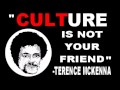 A Psychedelic Point of View (abridged): Terence McKenna