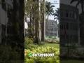 KRUPANIDHI GROUP OF INSTITUTION | ബാംഗ്ലൂരിലെ കൃപാനിധി കോളേജ്📚⭐👨🏻🎓 #bangalore #college #shorts