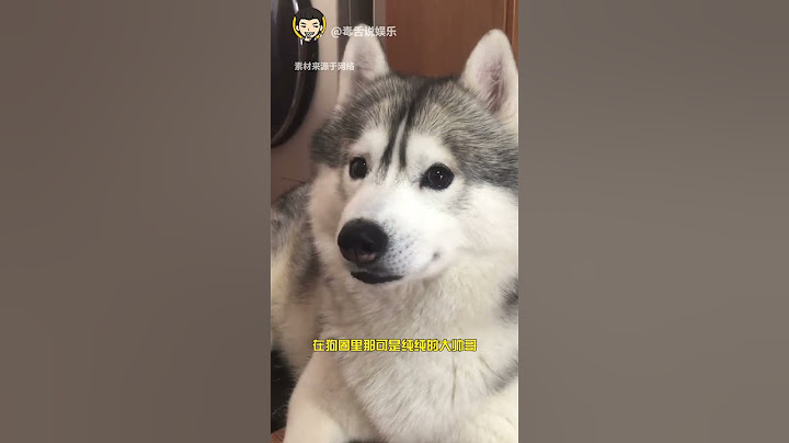 一些你不知道的小动物们的冷知识！#万万没想到 #萌宠 #娱乐评论大赏#shorts