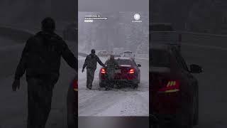 Blinding Snow Triggers Dozens of Crashes Near Donner Pass Profile
