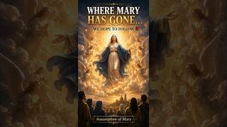 Assumption of Mary | Where Hope Leads Us 🌹