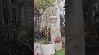       flowergarden nature flowers gardendesign gardenflowers