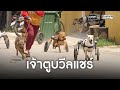 เจ้าตูบวีลแชร์ ชุบชีวิตหมาพิการ | ข่าวช่องวัน