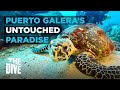 Ernie's Point: Puerto Galera’s Untouched Underwater Paradise | THE DIVE