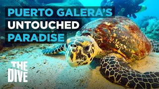Ernie's Point: Puerto Galera’s Untouched Underwater Paradise | THE DIVE