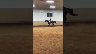 Cantering bareback in shorts! | Unstoppable #shorts #horseriding #horse