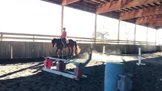 Parker Flat: Trot; Canter; Left Lead; Loose Rein