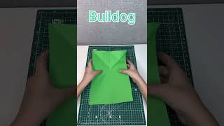 How to make BULLDOG PAPER PLANE ✈️👍 #shots #diy #airplane #paper #tutorial #paperplane
