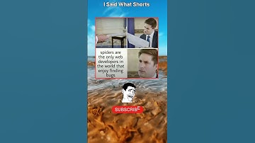 Spiders are the only web developers in the world that enjoy finding bugs😂😝 #isaidwhat #memeoftheday