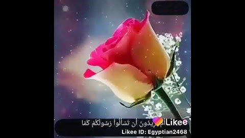 حالات واتس أب|| أرح سمعك 🍀🎧  القارئ فارس عباد ⬇