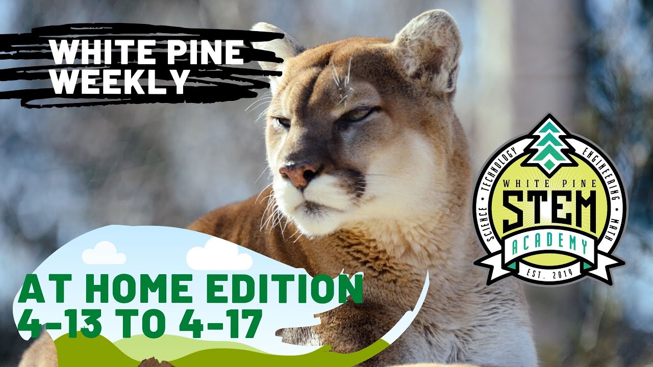 White Pine Weekly-Week of 4/13-4/17