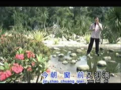 你像一个谜-谭俊