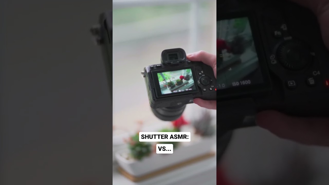 Sony a7iv vs A1 📸 