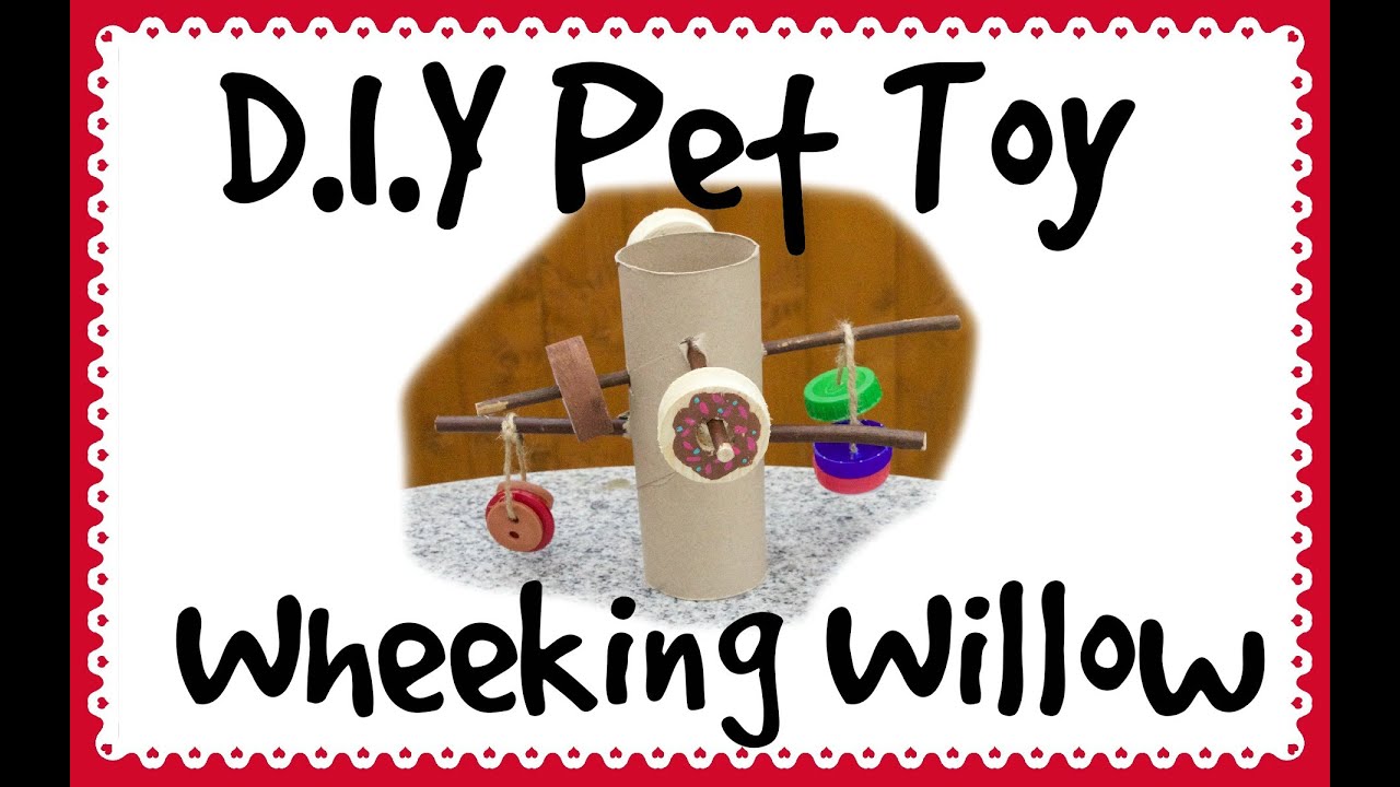 Wheeking Willow *Homemade Guinea Pig Toy* YouTube