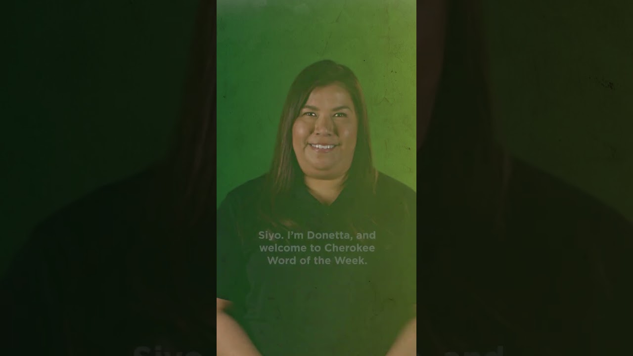 Learn the word "wise" in the 