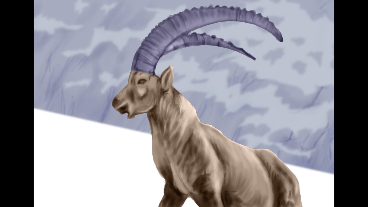 Ibex Digital Painting