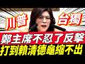 鄭主席不忍了反擊！打到賴清德龜縮不出！賴清德520攻擊鄭麗文！#賴清德 #鄭麗文 #520  #川普 #習近平 #台獨
